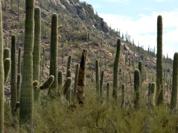 USA_Mexico2006-2007-031